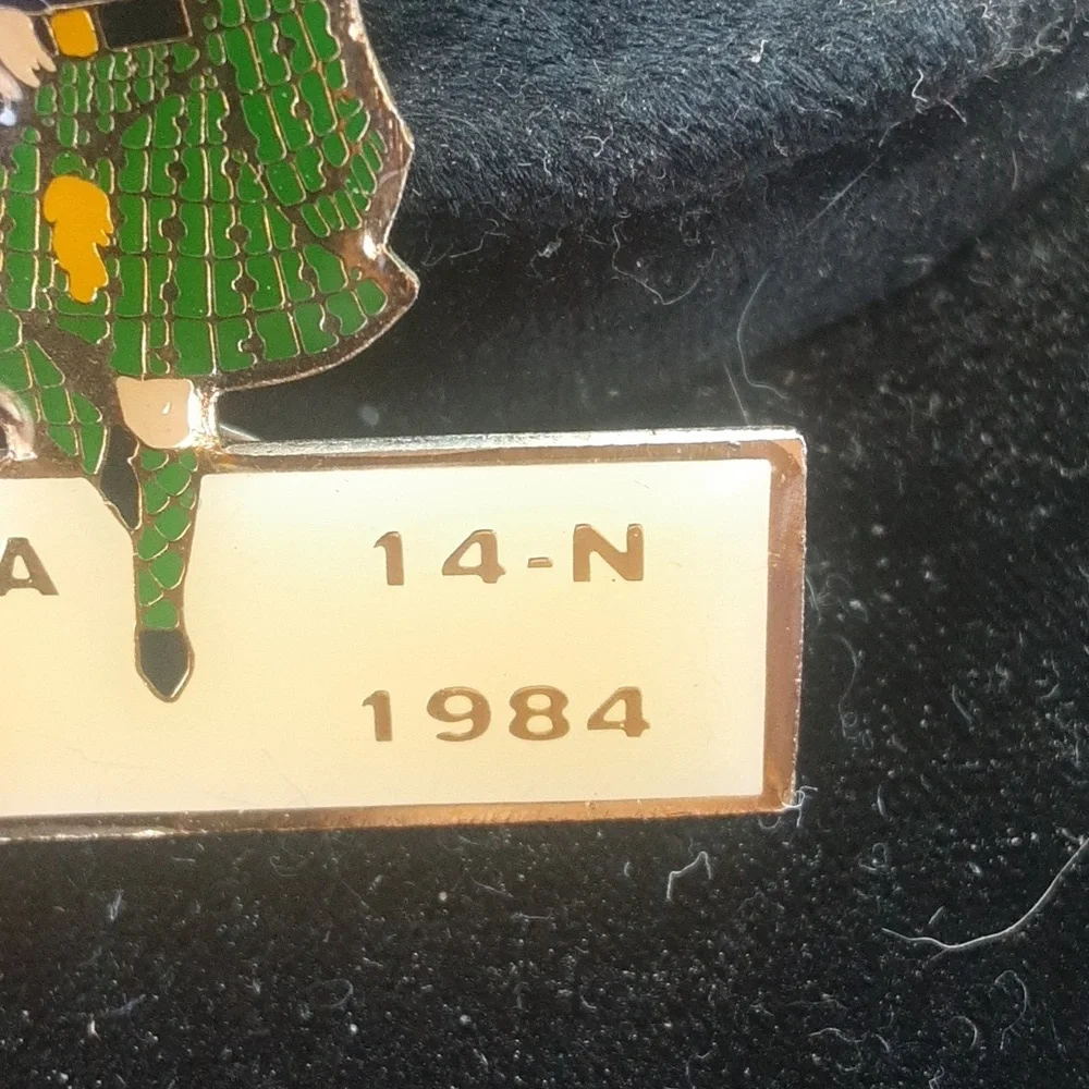 Vintage Penna 14-N 1984 Pin, Loins Club
